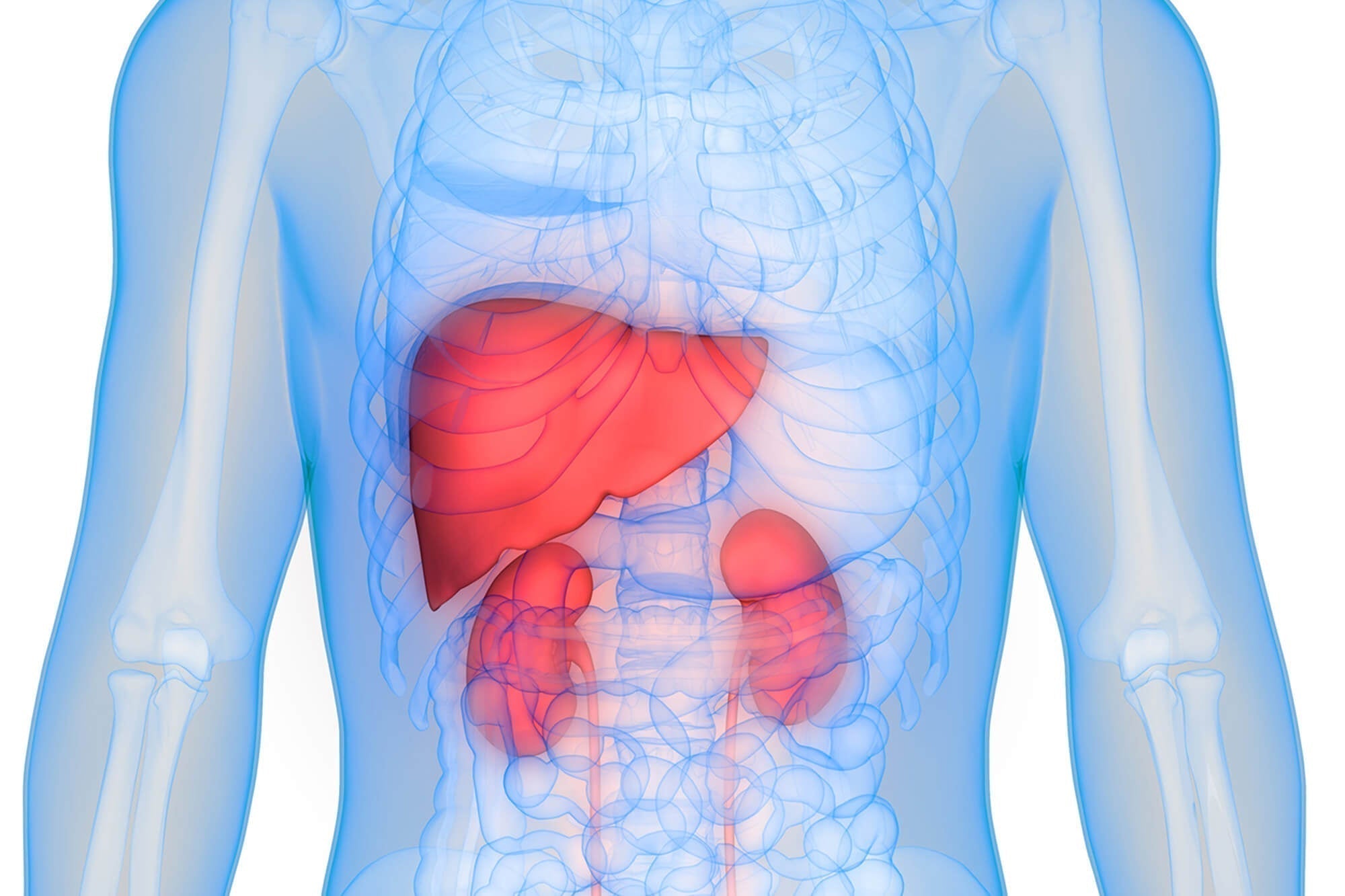 Liver and kidney detox tea herbl