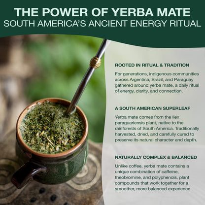 Yerba Mate Energy Herbal Tea
