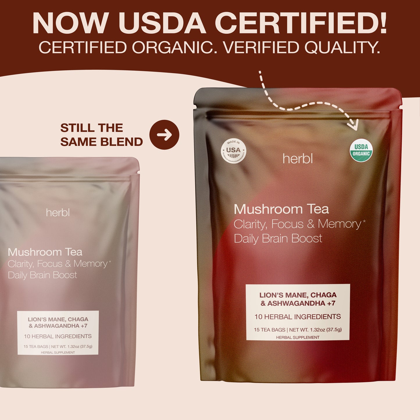 Brain Boost Mushroom Tea
