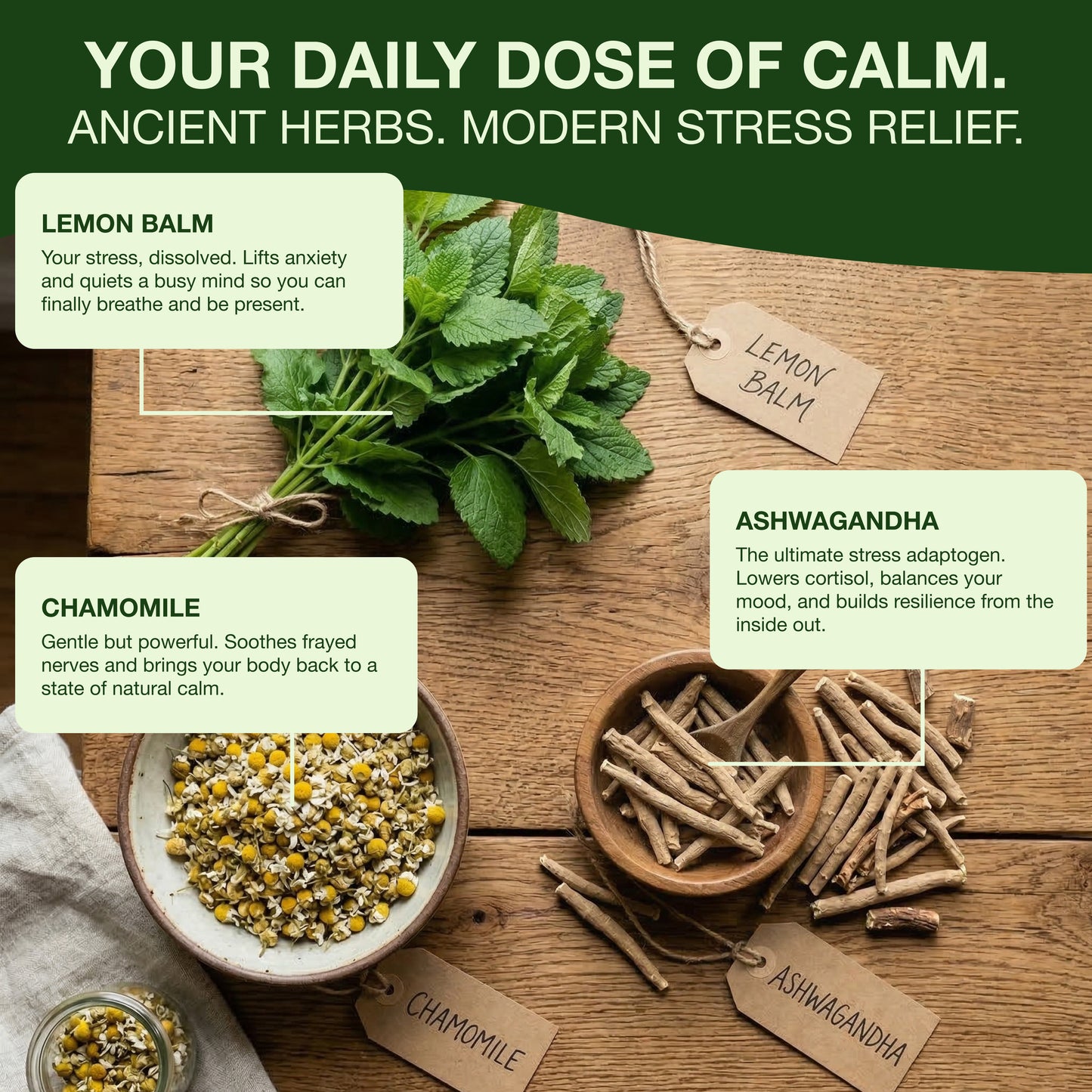 Lemon Balm Calming Herbal Tea