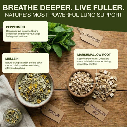 Mullein Lung Detox Herbal Tea