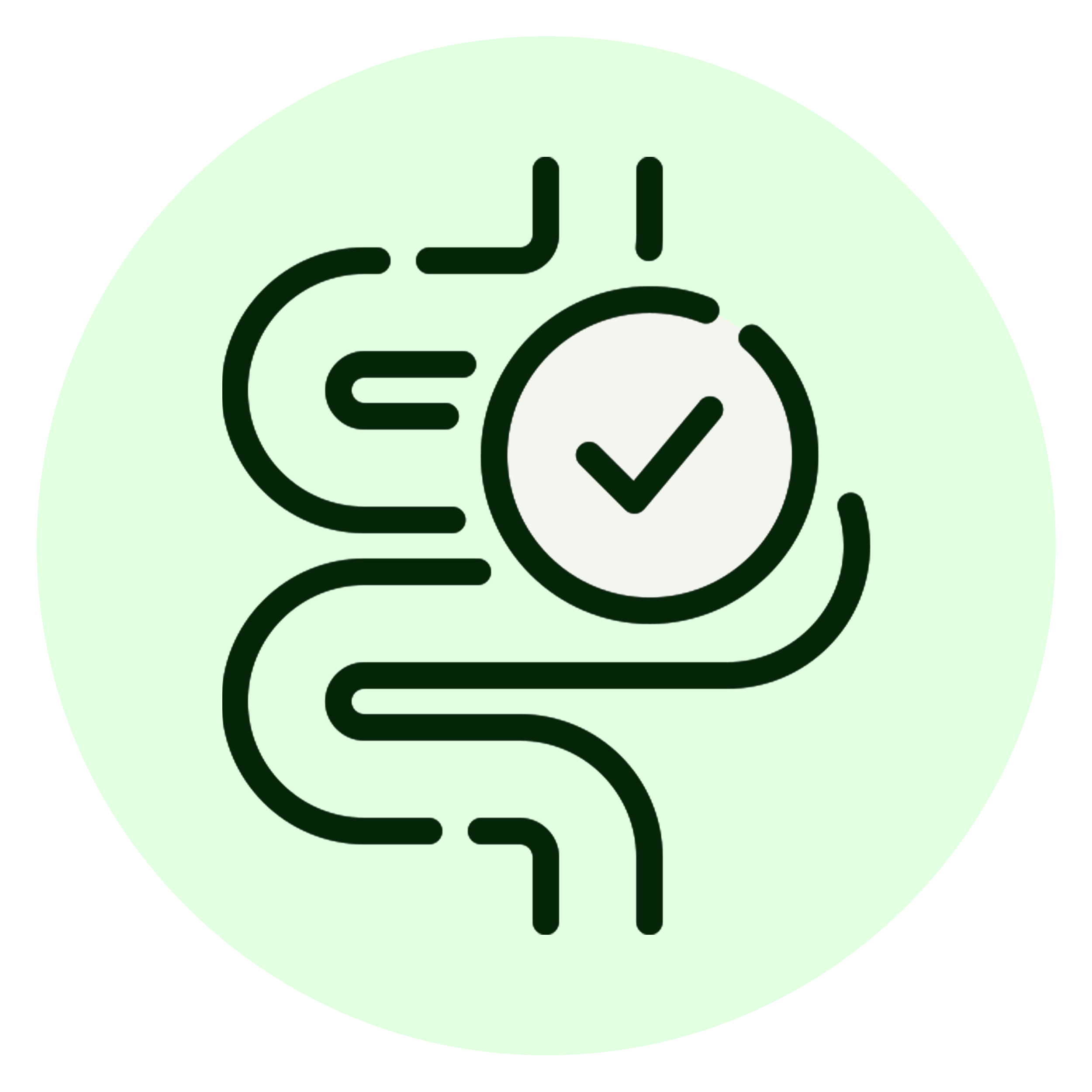 <h4>Energized Digestion That Flows</h4>