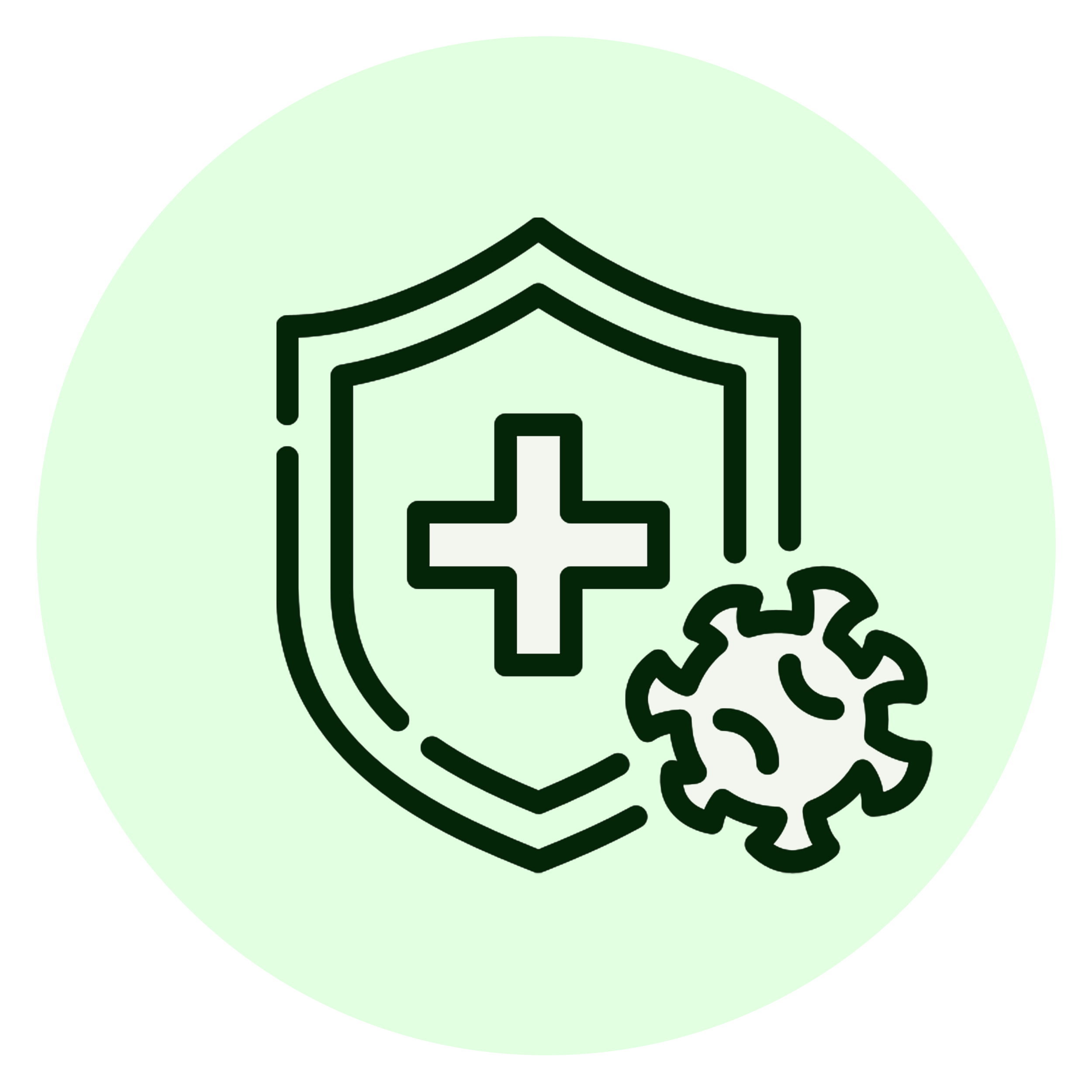 <h4>Stronger Immunity, Starting Within</h4>